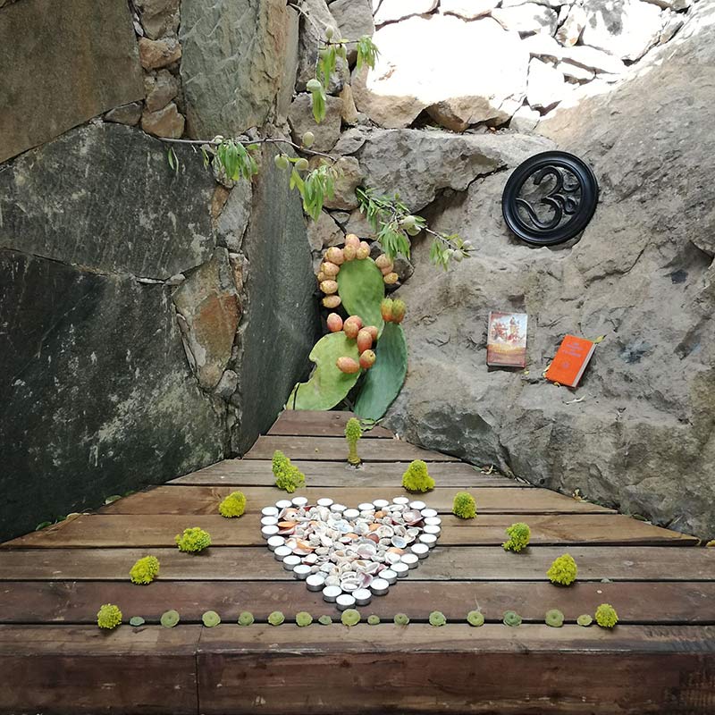 Cinderella wellness - eventos - yoga